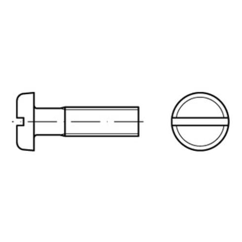 ISO 1580 Flachkopfschraube M4x10 Polyamid blank Schlitz