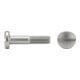 ISO 1580 Flachkopfschraube M5x10 Messing blank Schlitz