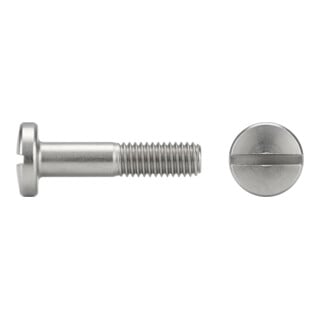 ISO 1580 Flachkopfschraube M6x20 Polyamid blank Schlitz