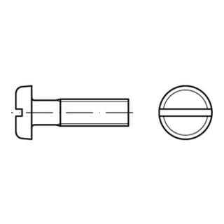 ISO 1580 Flachkopfschraube M6x25 Polyamid blank Schlitz