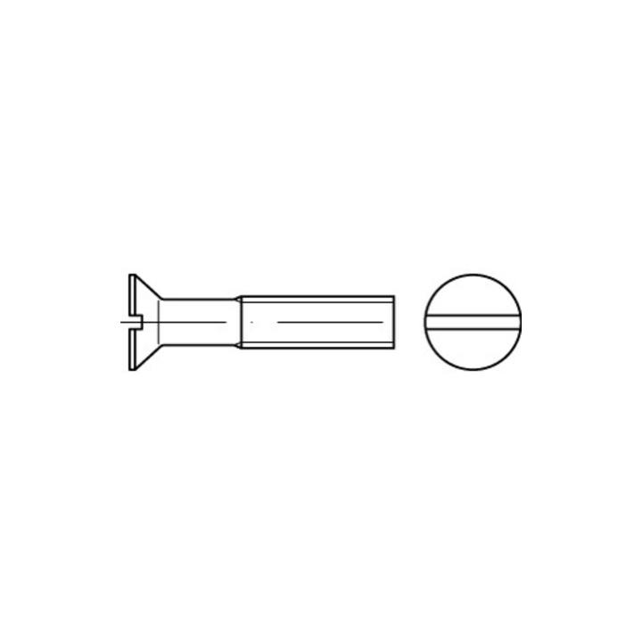 ISO 2009 Senkkopfschraube M6x110 Edelstahl A2 blank Schlitz