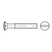 ISO 2010 LinsenSenkkopfschraube M10x25 Edelstahl A4 blank Schlitz