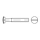 ISO 2010 Linsensenkschraube mit Schlitz, MS galCr M6x25 KP-1
