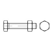 ISO 4017 Sechskantschraube mit Gewinde bis Kopf ISO-Schlüsselweiten, 5.6 Mu Kl.5 tZn AD W19 M20x50HP