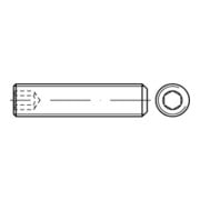ISO 4026 Gewindestift 45 H M 8 x 1 x 30-3