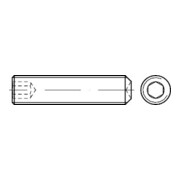 ISO 4029 Gewindestift mit Ringschneide und Innensechskant, 45H M8x25 HP