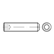 ISO 4029  Gewindestifte mit Ringschneide & Innensechskant A 1/A 2 M 10 x 10 rostfreiei A 1/A 2 S