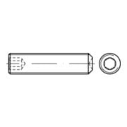 ISO 4029  Gewindestifte mit Ringschneide & Innensechskant A 1/A 2 M 10 x 16 rostfreiei A 1/A 2 S