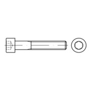 ISO 4762 Zylinderkopf-Schaftschraube 10.9 M 10 x 100 flZnL/nc/x/x/480h/C flZn