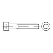 ISO 4762 Zylinderkopf-Schaftschraube 10.9 M 10 x 55 flZnL/nc/x/x/480h/C flZn