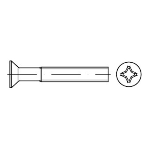 ISO 7046-1 Senkschraube mit Phillips-Kreuzschlitz PH, 4.8 galZn -H M5x55 HP