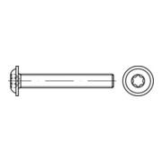 ISO 7380-2 Flachkopfschraube mit Flansch Innensechsrund, TX, Stahl 10.9, galvanisch verzinkt