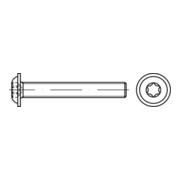 ISO 7380-2 Flachkopfschraube mit Flansch Innensechsrund, TX, Edelstahl A2-70, blank-3