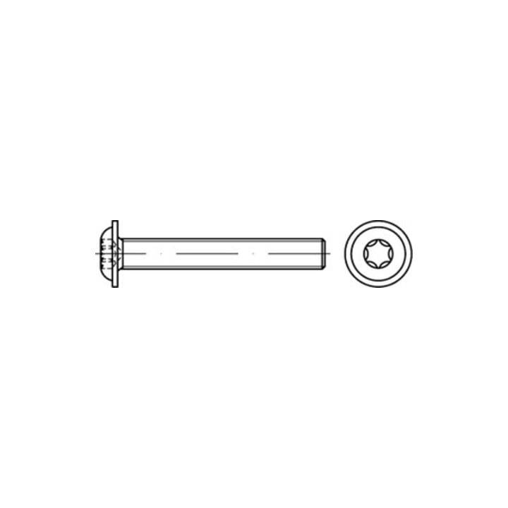 ISO 7380-2 Flachkopfschraube A 2 M 4 x 5 -T20 Vollgewinde A 2