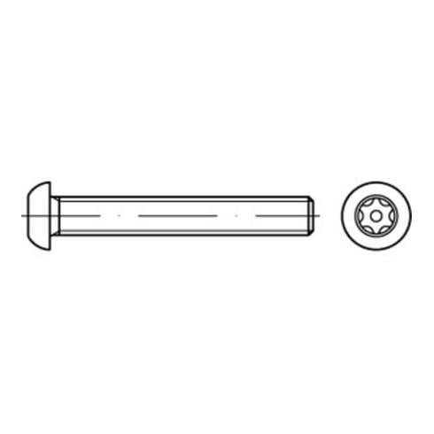 ISO 7380 Sicherheits-Flachkopfschraube mit Innensechskant mit Zapfen, TX-TR, Edelstahl A2-70, blank