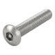 ISO 7380 Diebstahlhemmende Flachkopfschraube VG M4x25 Edelstahl A2 blank Pin-Innensechskant