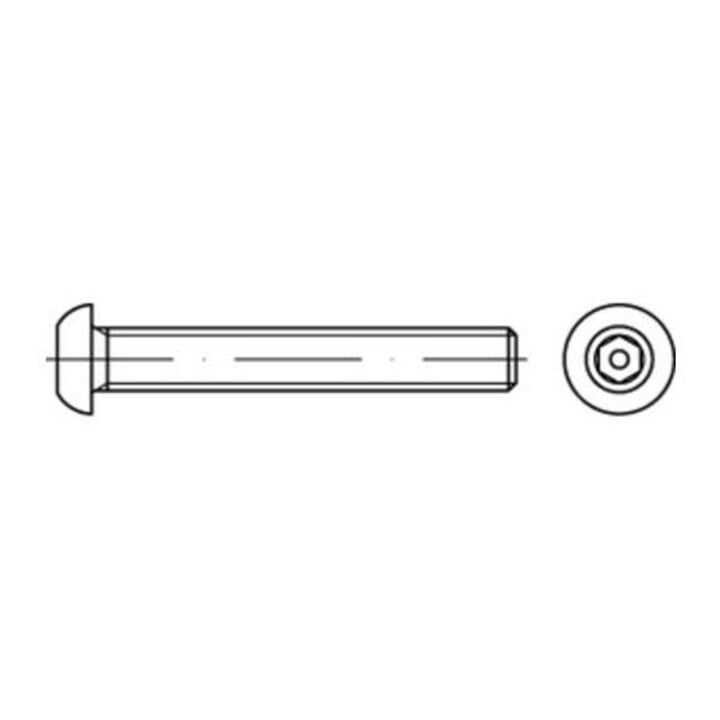 ISO 7380 Diebstahlhemmende Flachkopfschraube VG M4x25 Edelstahl A2 blank Pin-Innensechskant