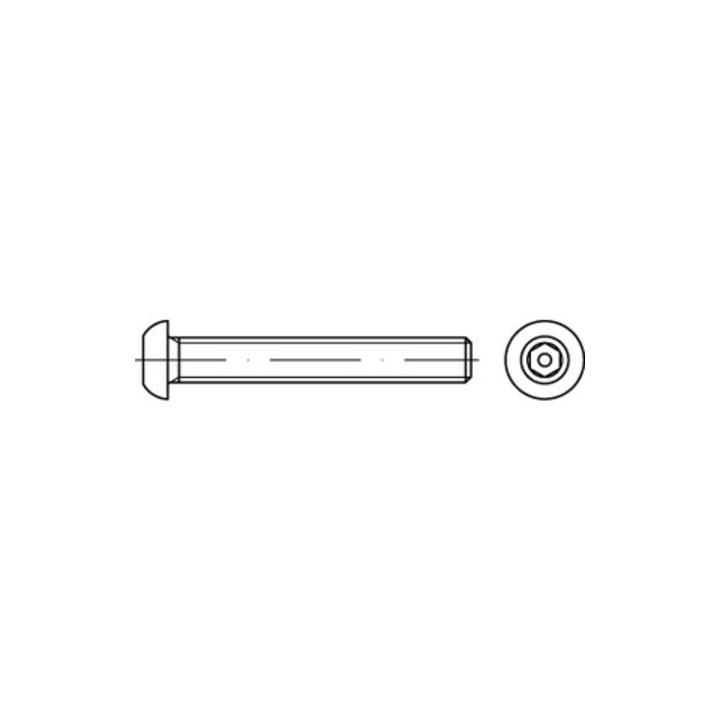 ISO 7380 Diebstahlhemmende Flachkopfschraube VG M4x30 Edelstahl A2 blank Pin-Innensechskant