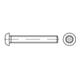 ISO 7380 Sicherheits-Flachkopfschraube mit Innensechskant mit Zapfen, TX-TR, Edelstahl A2-70, blank-1