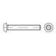 ISO 7380 Diebstahlhemmende Flachkopfschraube VG M4x30 Edelstahl A2 blank TX-TR