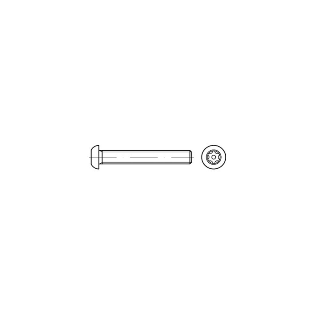 ISO 7380 Sicherheits-Flachkopfschraube mit Innensechskant mit Zapfen, TX-TR, Edelstahl A2-70, blank