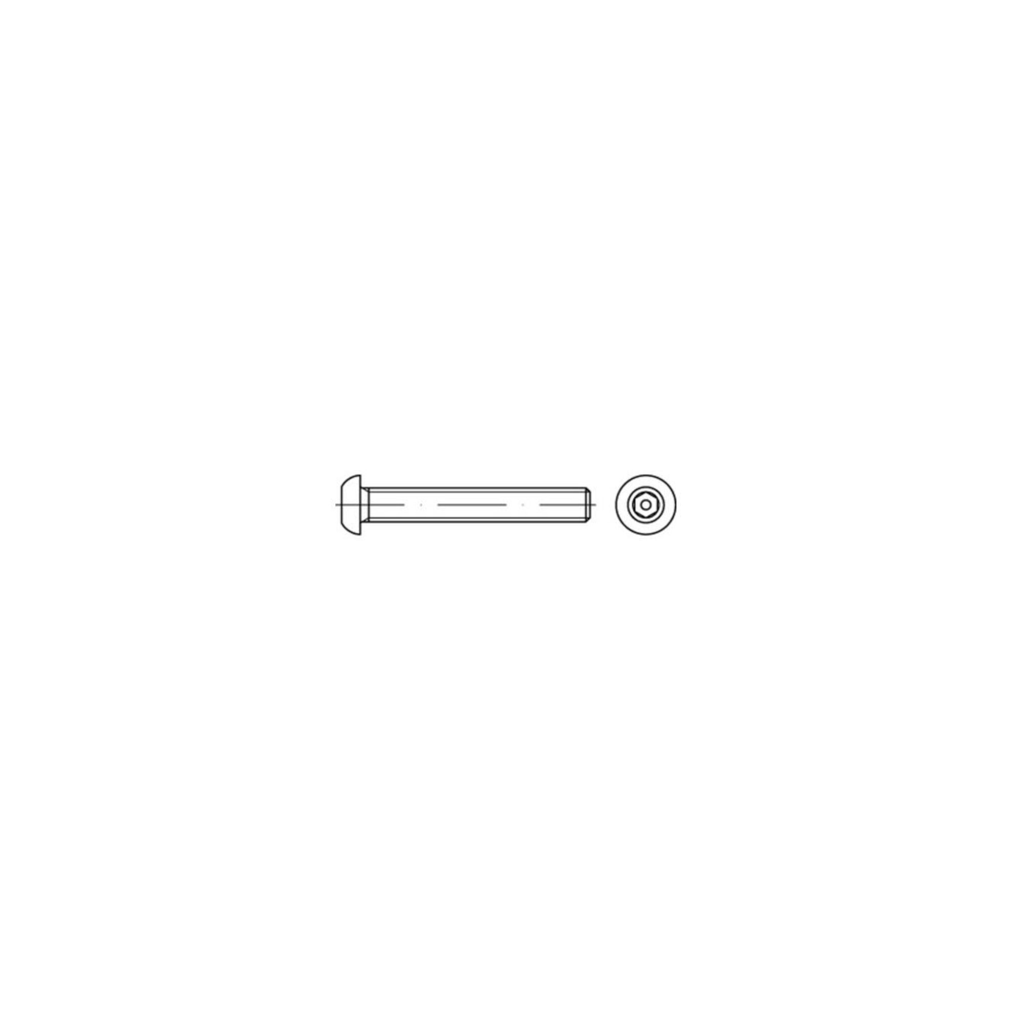 ISO 7380 Diebstahlhemmende Flachkopfschraube VG M6x12 Edelstahl A2 blank Pin-Innensechskant ; Industrial Quality Supplies