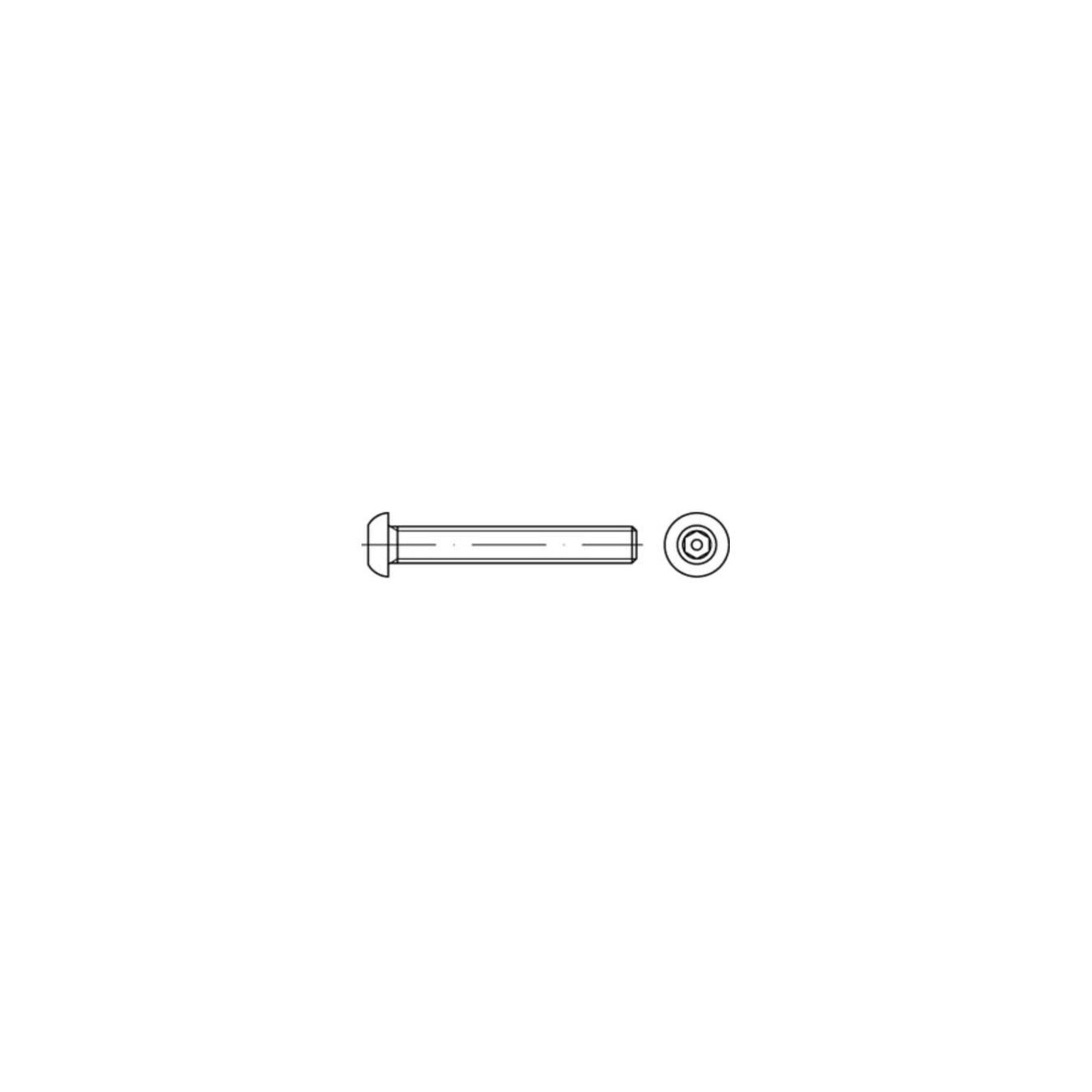 ISO 7380 Diebstahlhemmende Flachkopfschraube VG M6x16 Edelstahl A2 blank Pin-Innensechskant ; Industrial Quality Supplies