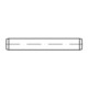 ISO 8734  Zylinderstifte Stahl 20 m6 x 120 -A S-1