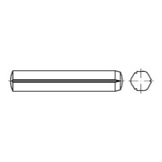 ISO 8740 Zylinderkerbstift, ST 10x100 HP