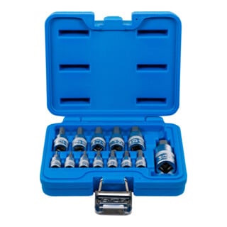 Jeu de douilles à embouts BGS, six pans intérieurs 2 - 14 mm, 13 pièces