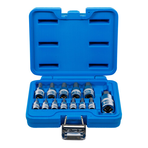 Jeu de douilles à embouts BGS, six pans intérieurs 2 - 14 mm, 13 pièces