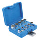 Jeu de Douilles, six pans 12,5 mm (1/2") en pouces 10 pièces BGS-4