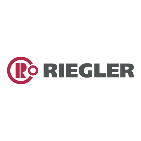 Jeu de flexibles d'atelier RIEGLER pour accouplement de sécurité diamètre 11x6,3 20 m