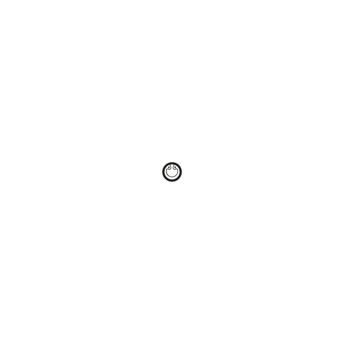 Jeu de pinces pour circlips