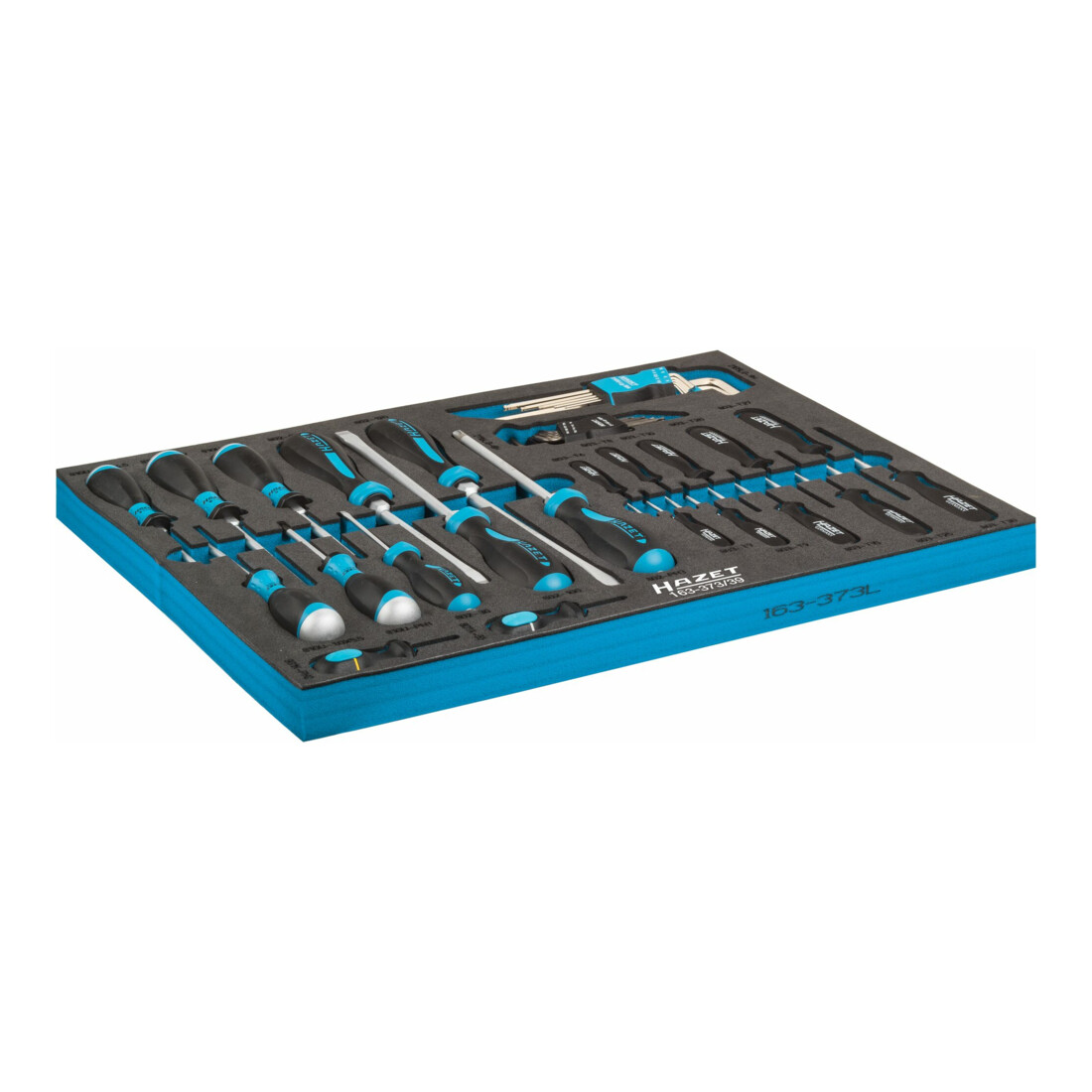 Jeu de tournevis 163-373/39 HAZET