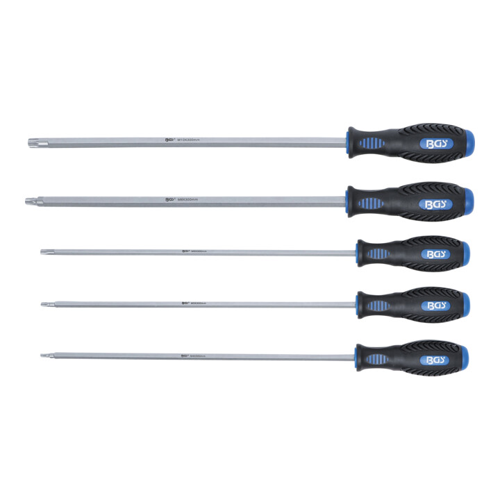 Jeu de tournevis denture multiple intérieure (pour XZN) 5 pièces BGS