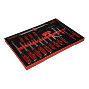 Jeu de tournevis et crochets dans insert en mousse, 19 pcs KS Tools-3