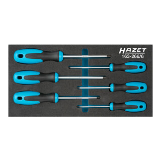 Jeu de tournevis TX 163-266/6 HAZET