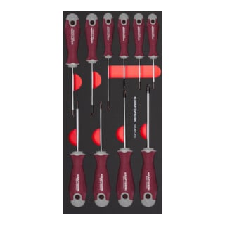 Jeu de tournevis TX Kraftwerk, insert 20x40, 10 pces