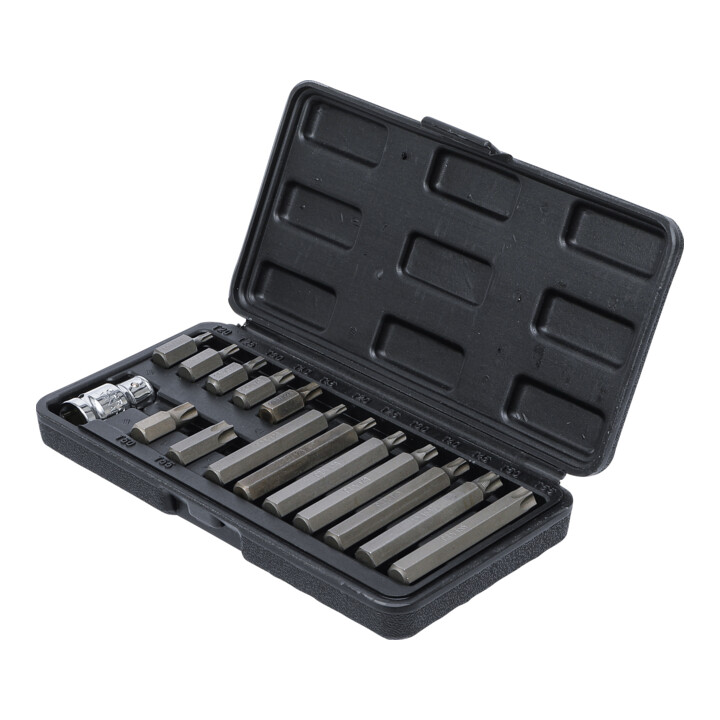 Jeu d’embouts 10 mm (3/8") profil en T (pour TX) 15 pièces BGS Do it yourself