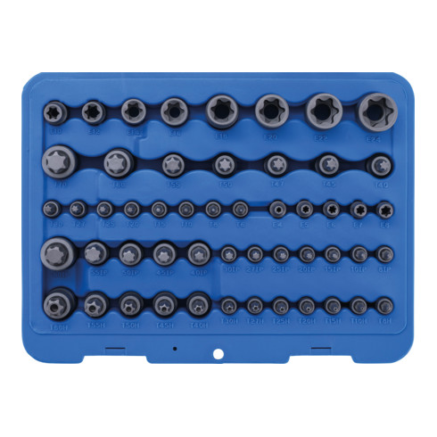 Jeu d’embouts et de douilles Profil E/T (pour Torx)/Profil T (pour Torx) avec perçage/Profil TP (pour Torx Plus) 52 pièces BGS