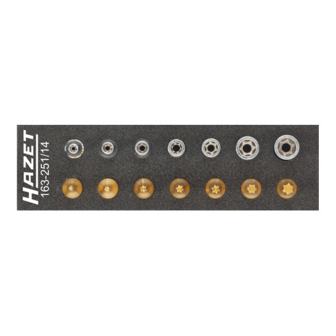 Jeu d'outils · TORX® 163-251/14 HAZET