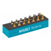 Jeu d'outils · TX 163-251/14 HAZET-4