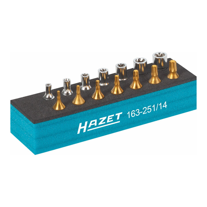 Jeu d'outils · TX 163-251/14 HAZET