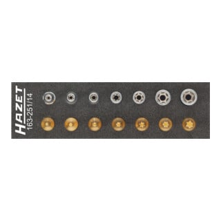 Jeu d'outils · TX 163-251/14 HAZET