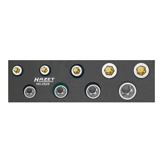 Jeu d'outils · TX 163-252/9 HAZET