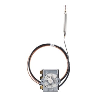jumo Thermostat de température 50-300 °C avec câble de 2 m 60003225