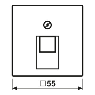 Jung Abdeckung A 569-1 BFPLUA weiß für IAE/UAE-Dose