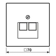 Jung Abdeckung alu für IAE/UAE-Dose AL 2969-2 UA-3