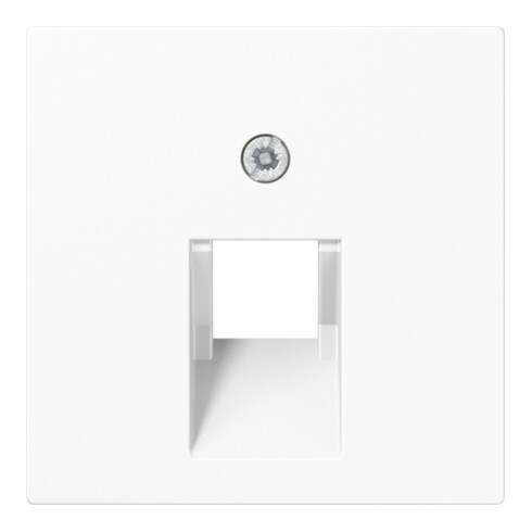 Jung Abdeckung aws für IAE/UAE-Dose A 569-1 PLUA WW